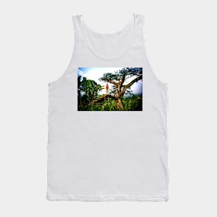 Boy on tree-amazing images Tank Top